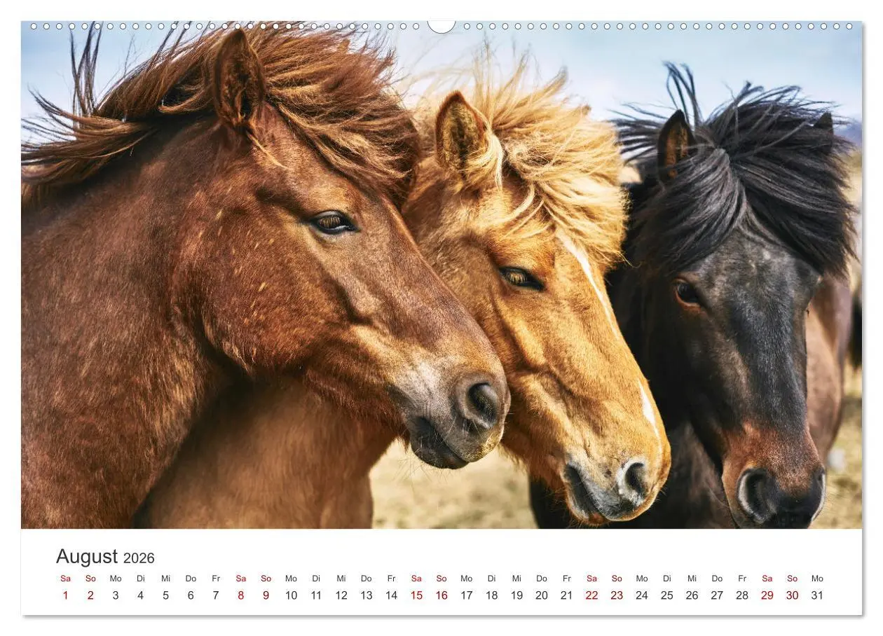Bild: 9783457553572 | Islandpferde - Von ihrer schönsten Seite (Wandkalender 2026 DIN A2...