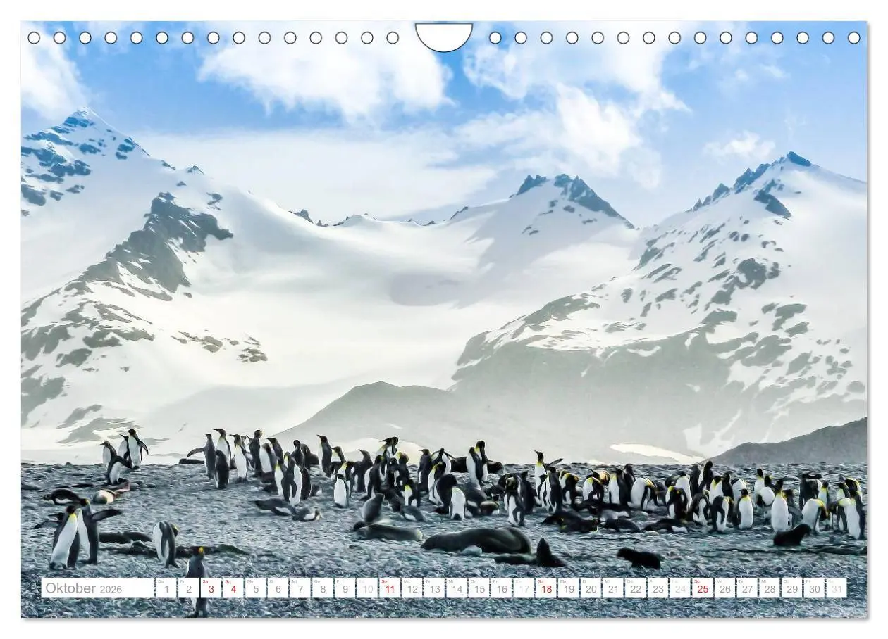 Bild: 9783516193572 | Antarktis - Das Reich der Pinguine (Wandkalender 2026 DIN A4 quer),...