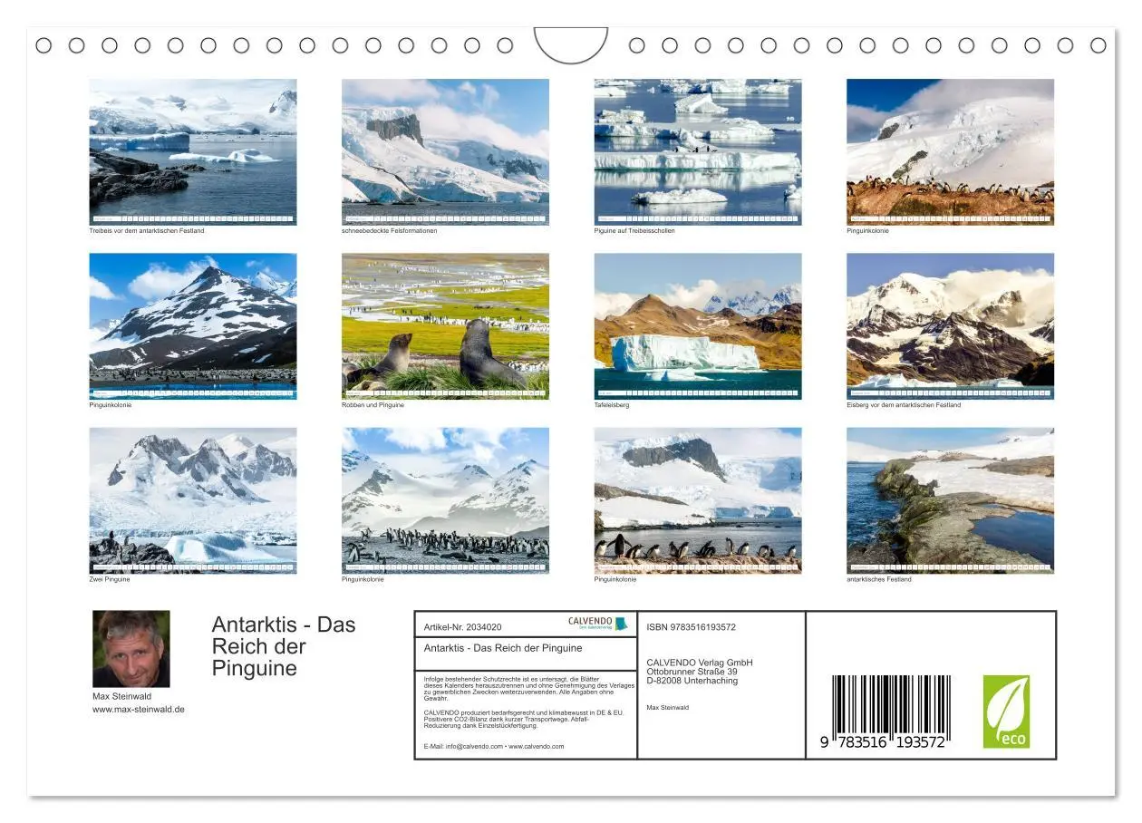 Bild: 9783516193572 | Antarktis - Das Reich der Pinguine (Wandkalender 2026 DIN A4 quer),...
