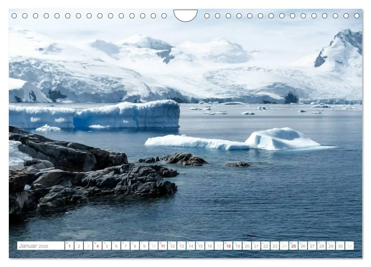 Bild: 9783516193572 | Antarktis - Das Reich der Pinguine (Wandkalender 2026 DIN A4 quer),...
