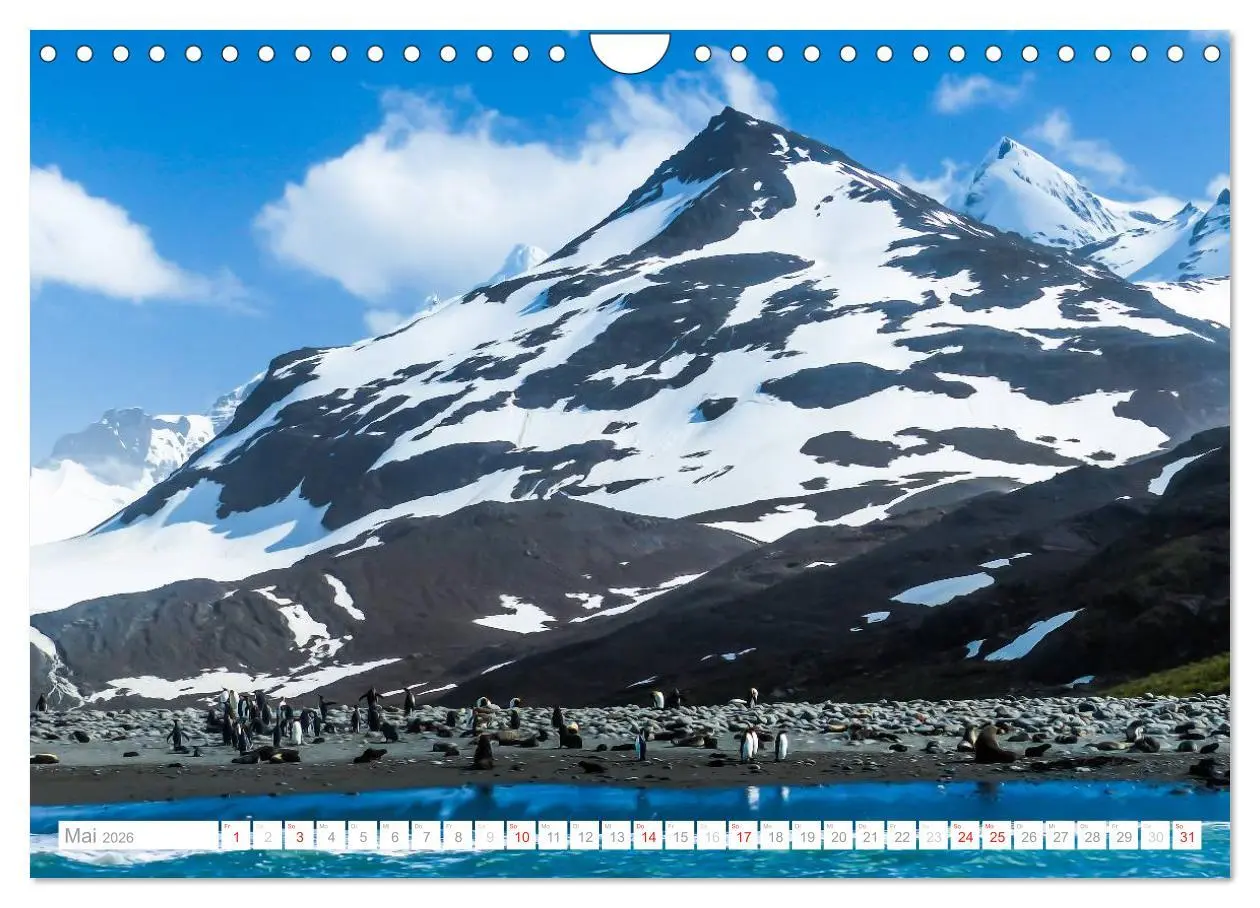 Bild: 9783516193572 | Antarktis - Das Reich der Pinguine (Wandkalender 2026 DIN A4 quer),...