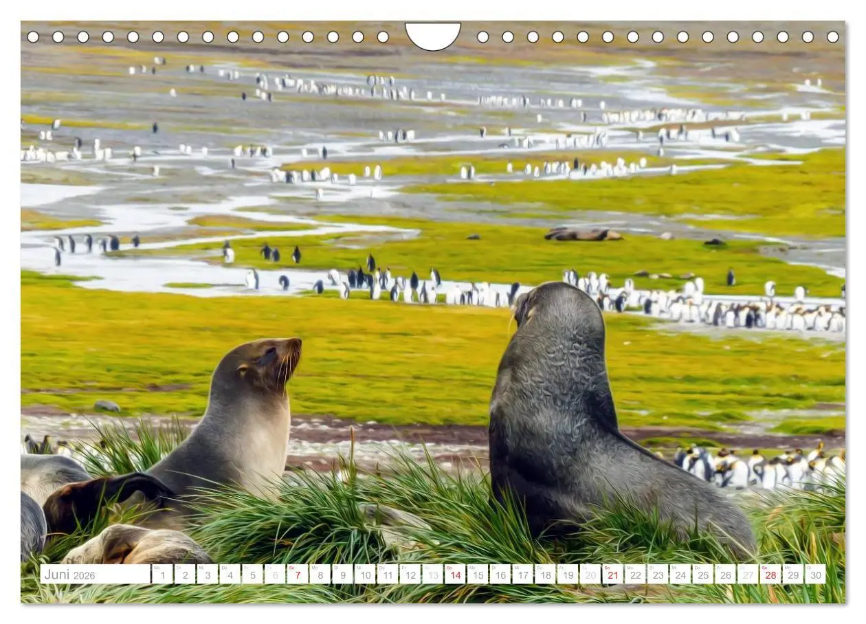 Bild: 9783516193572 | Antarktis - Das Reich der Pinguine (Wandkalender 2026 DIN A4 quer),...