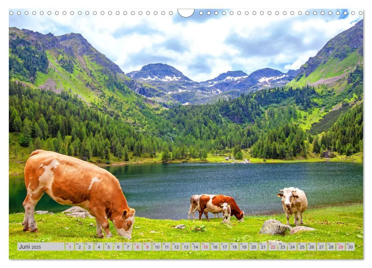 Bild: 9783435143672 | Der Duisitzkarsee (Wandkalender 2025 DIN A3 quer), CALVENDO...