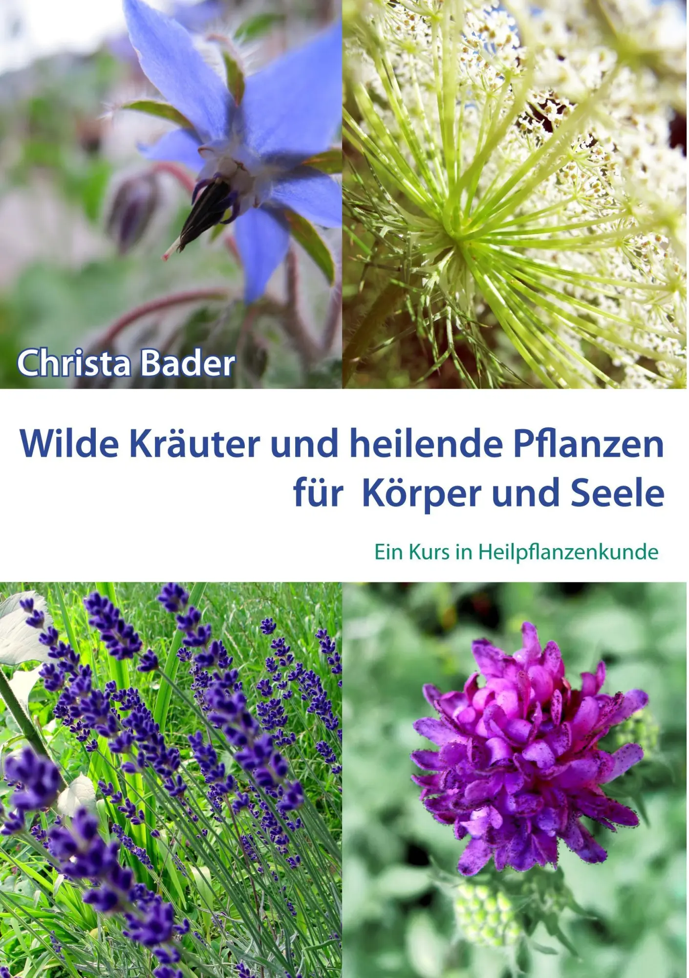 Cover: 9783734743672 | Wilde Kräuter und Heilende Pflanzen für Körper und Seele | Bader