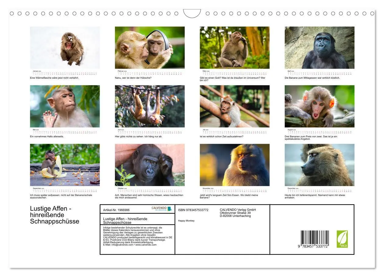 Bild: 9783457533772 | Lustige Affen - hinreißende Schnappschüsse (Wandkalender 2026 DIN...