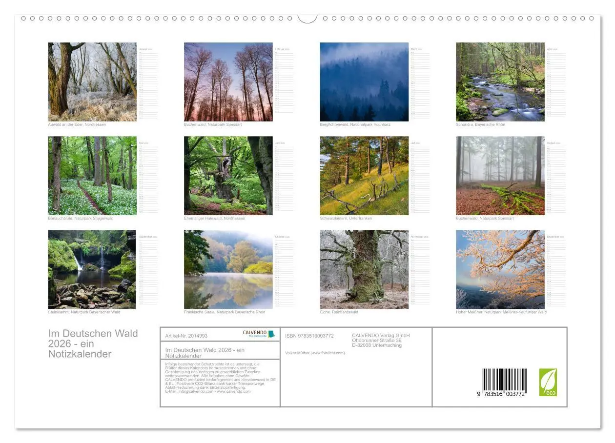 Bild: 9783516003772 | Im Deutschen Wald 2026 - ein Notizkalender (hochwertiger Premium...