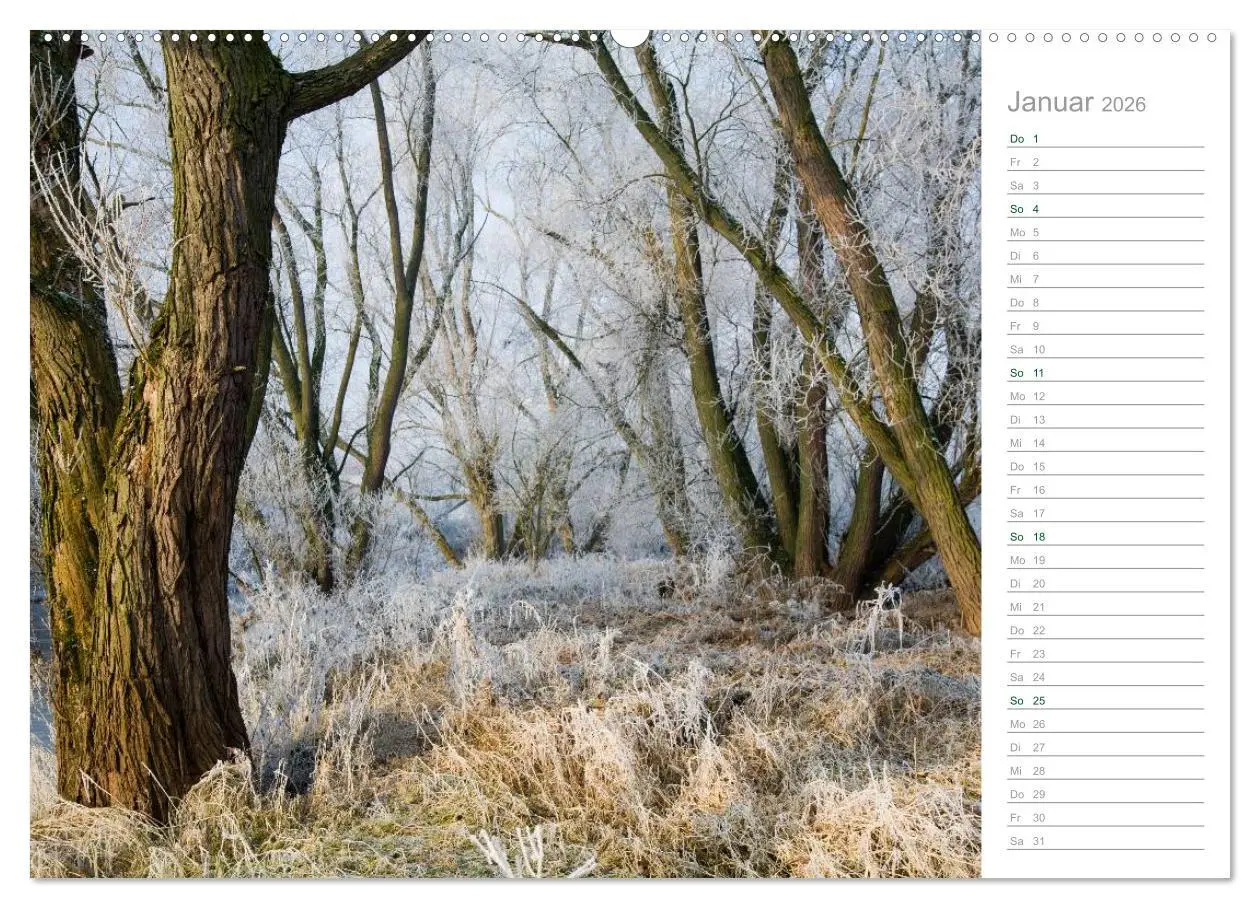 Bild: 9783516003772 | Im Deutschen Wald 2026 - ein Notizkalender (hochwertiger Premium...
