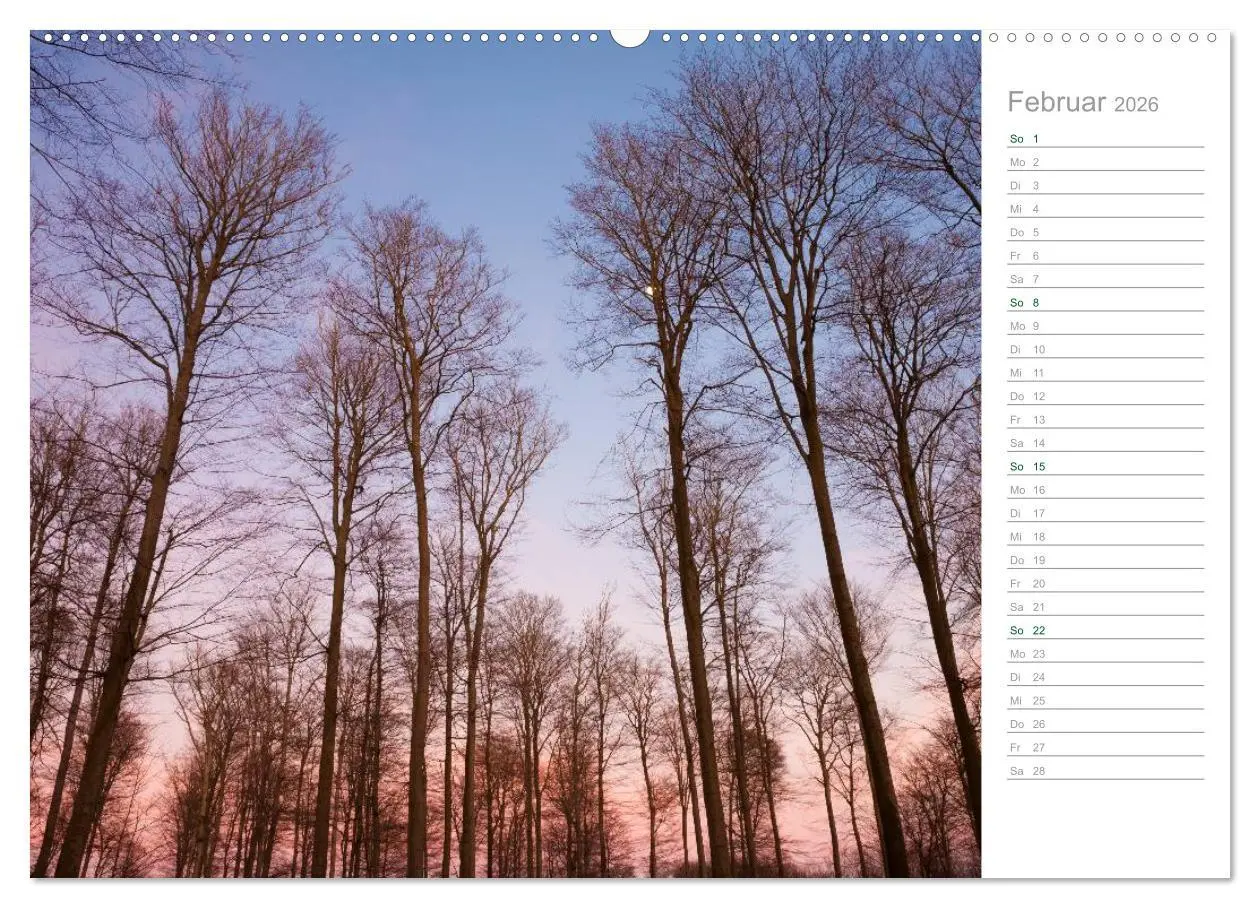 Bild: 9783516003772 | Im Deutschen Wald 2026 - ein Notizkalender (hochwertiger Premium...