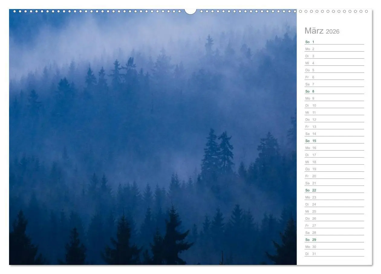 Bild: 9783516003772 | Im Deutschen Wald 2026 - ein Notizkalender (hochwertiger Premium...