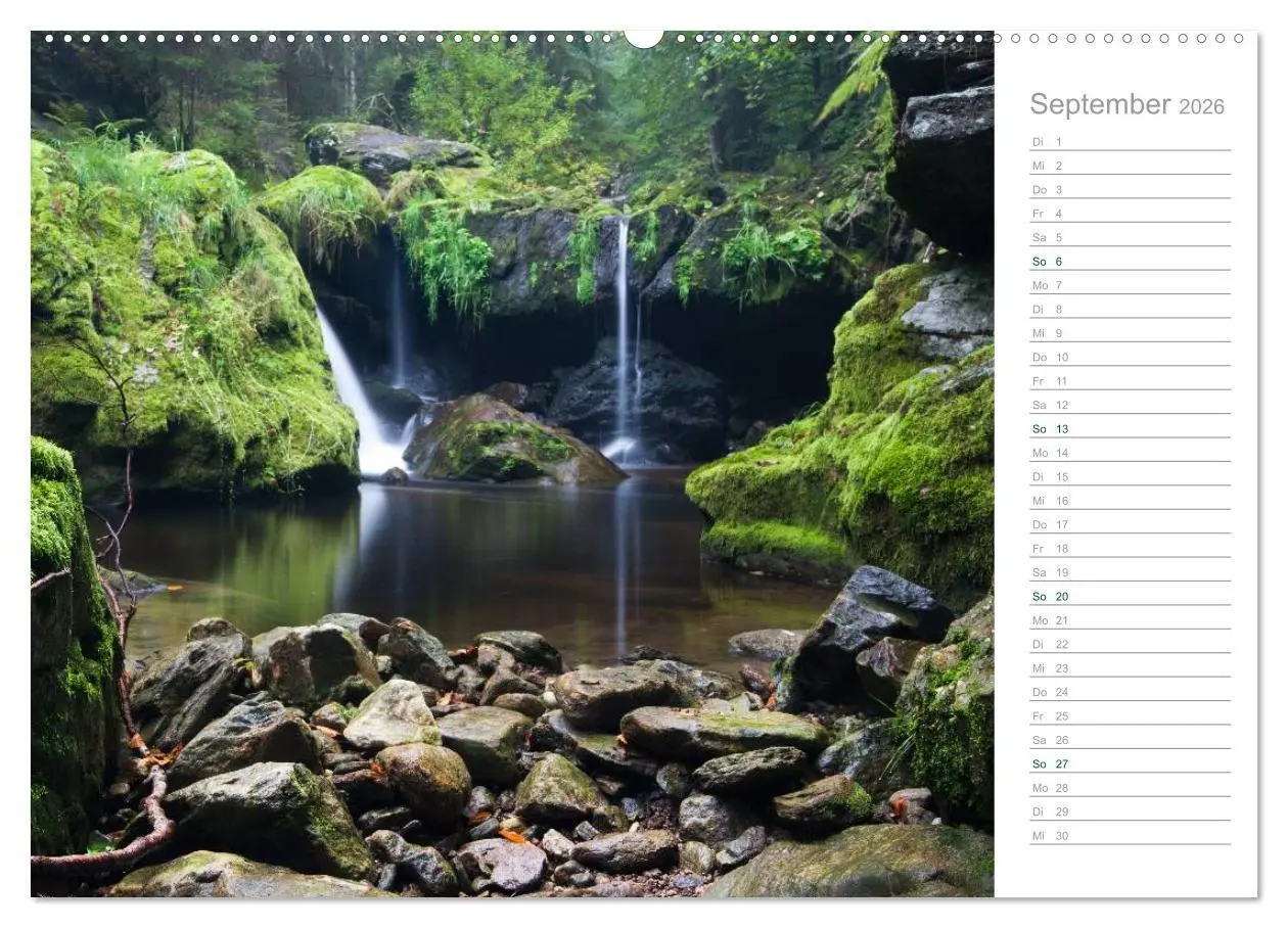 Bild: 9783516003772 | Im Deutschen Wald 2026 - ein Notizkalender (hochwertiger Premium...