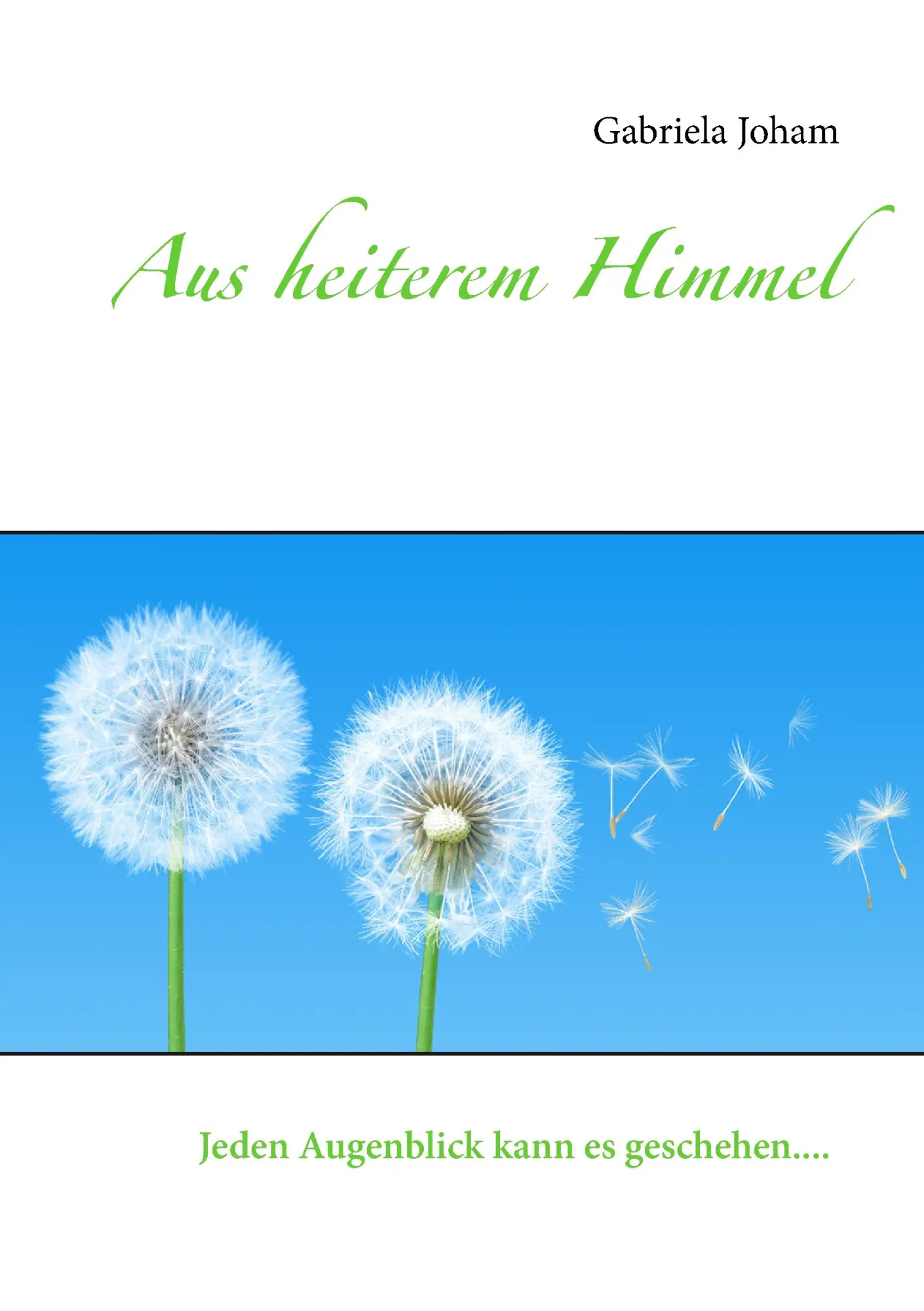 Cover: 9783842333772 | Aus heiterem Himmel | Gabriela Joham | Taschenbuch | 92 S. | Deutsch