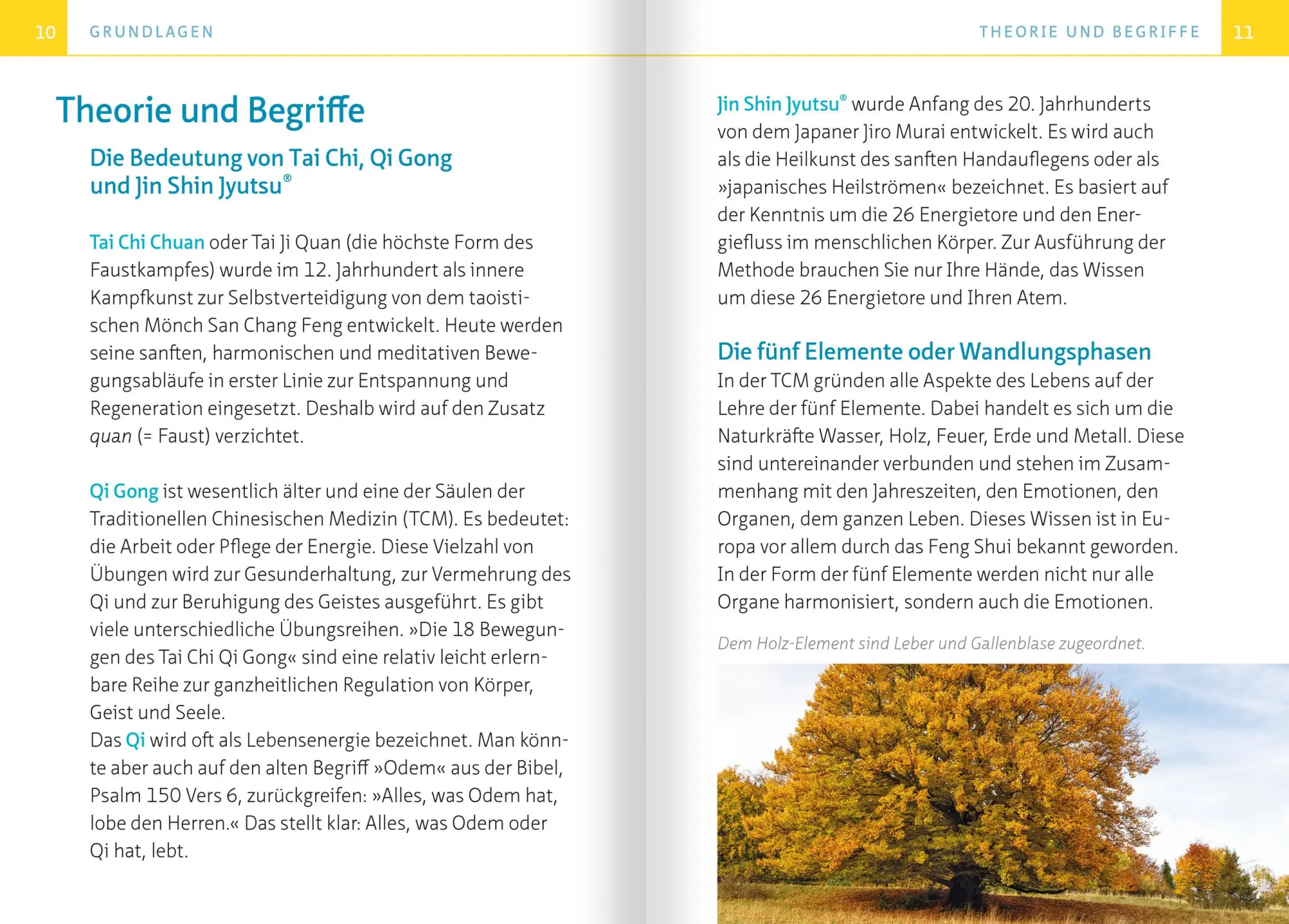 Bild: 9783863743772 | Tai Chi für zwischendurch. Kompakt-Ratgeber | Barbara Reik | Buch