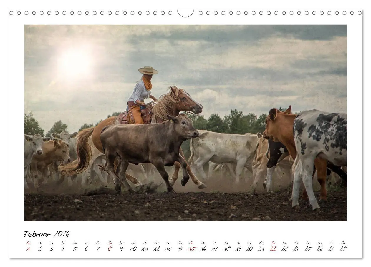 Bild: 9783457903872 | Mecklenburgs Wilder Westen (Wandkalender 2026 DIN A3 quer),...
