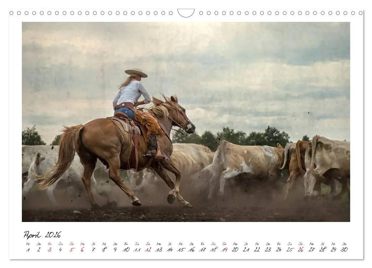 Bild: 9783457903872 | Mecklenburgs Wilder Westen (Wandkalender 2026 DIN A3 quer),...