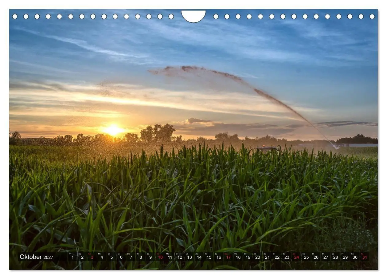 Bild: 9783569703872 | Ketsch am Rhein (Wandkalender 2027 DIN A4 quer), CALVENDO...