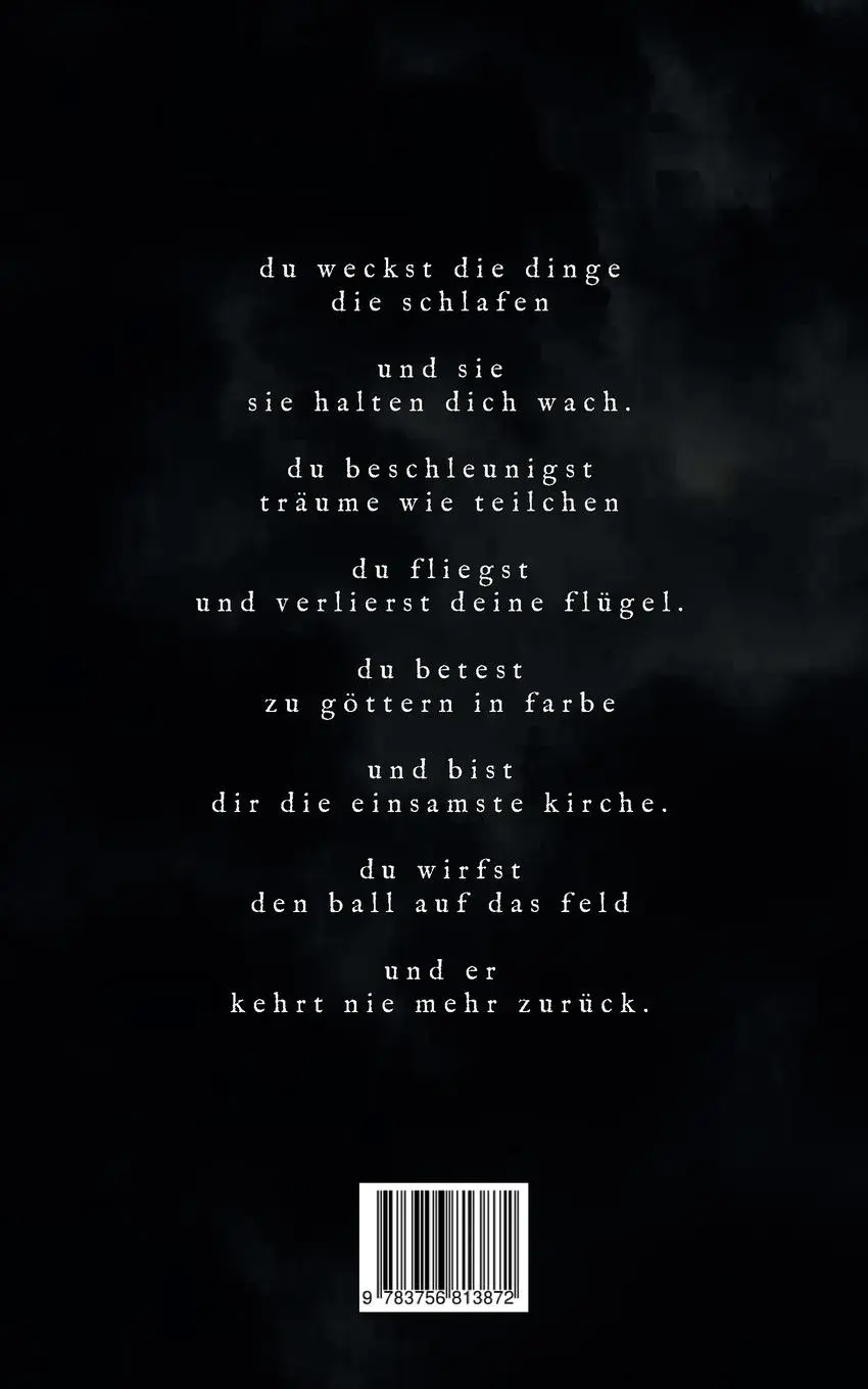 Rückseite: 9783756813872 | zeitenwende | lethe | Robert Igel | Taschenbuch | zeitenwende | 106 S.