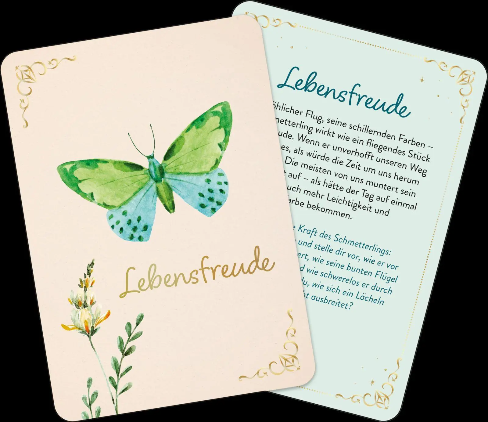 Bild: 9783848503872 | Orakelkarten: Zauber der Schmetterlinge | Franziska Sorgenfrei | Buch