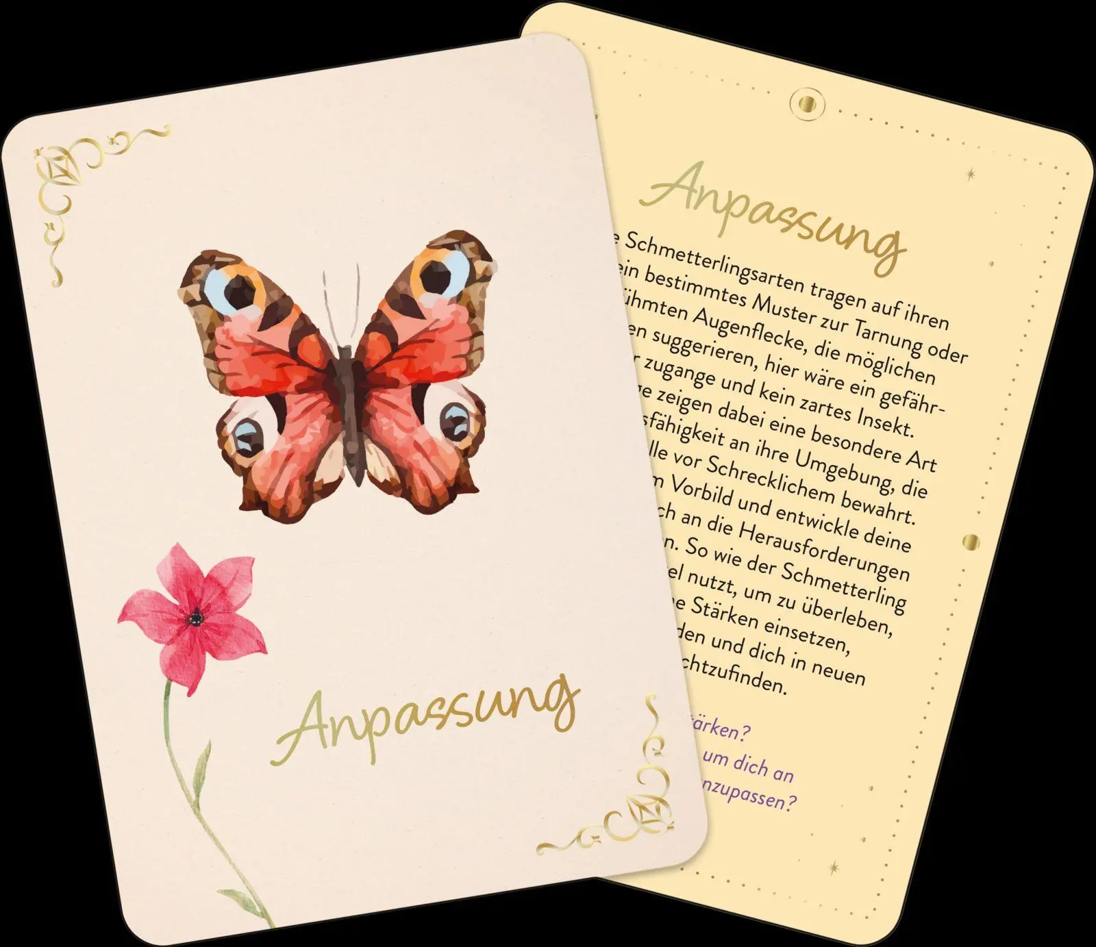 Bild: 9783848503872 | Orakelkarten: Zauber der Schmetterlinge | Franziska Sorgenfrei | Buch