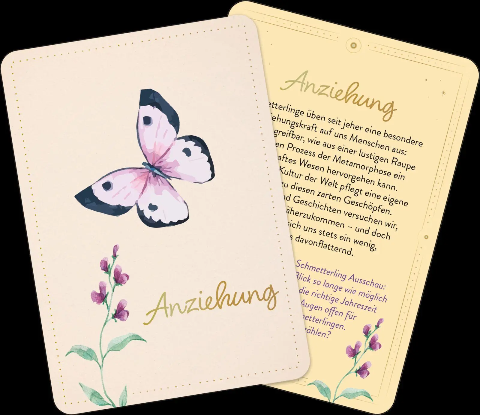 Bild: 9783848503872 | Orakelkarten: Zauber der Schmetterlinge | Franziska Sorgenfrei | Buch