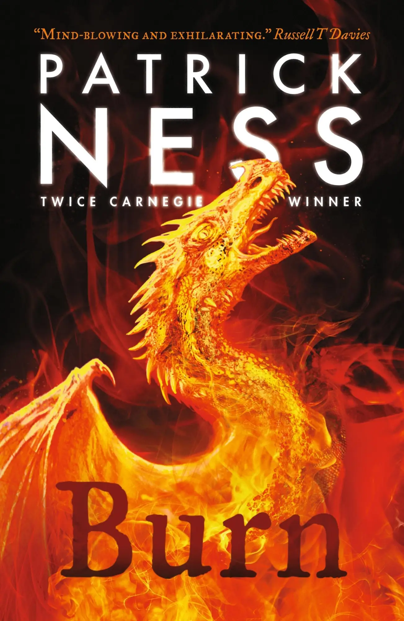 Cover: 9781406393972 | Burn | Patrick Ness | Taschenbuch | 384 S. | Englisch | 2021