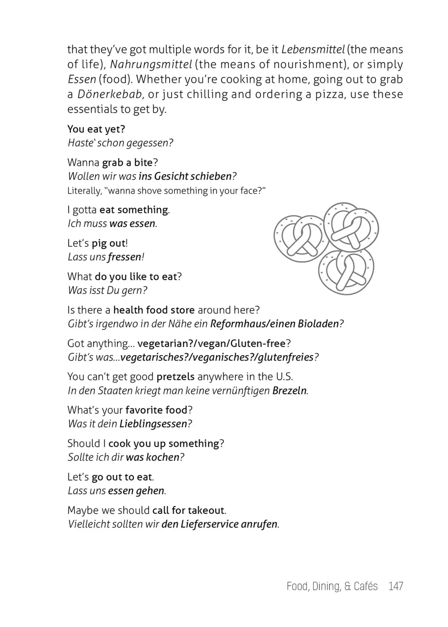 Bild: 9781646043972 | What They Didn't Teach You in German Class | Daniel Chaffey | Buch