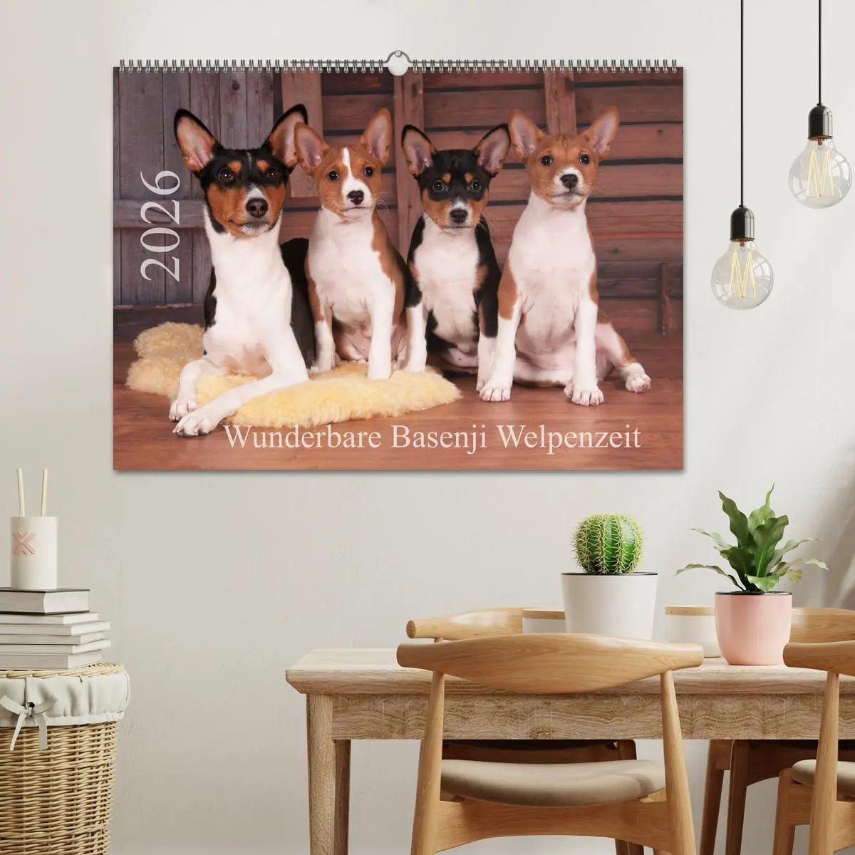 Bild: 9783457823972 | Wunderbare Basenji Welpenzeit (Wandkalender 2026 DIN A2 quer),...