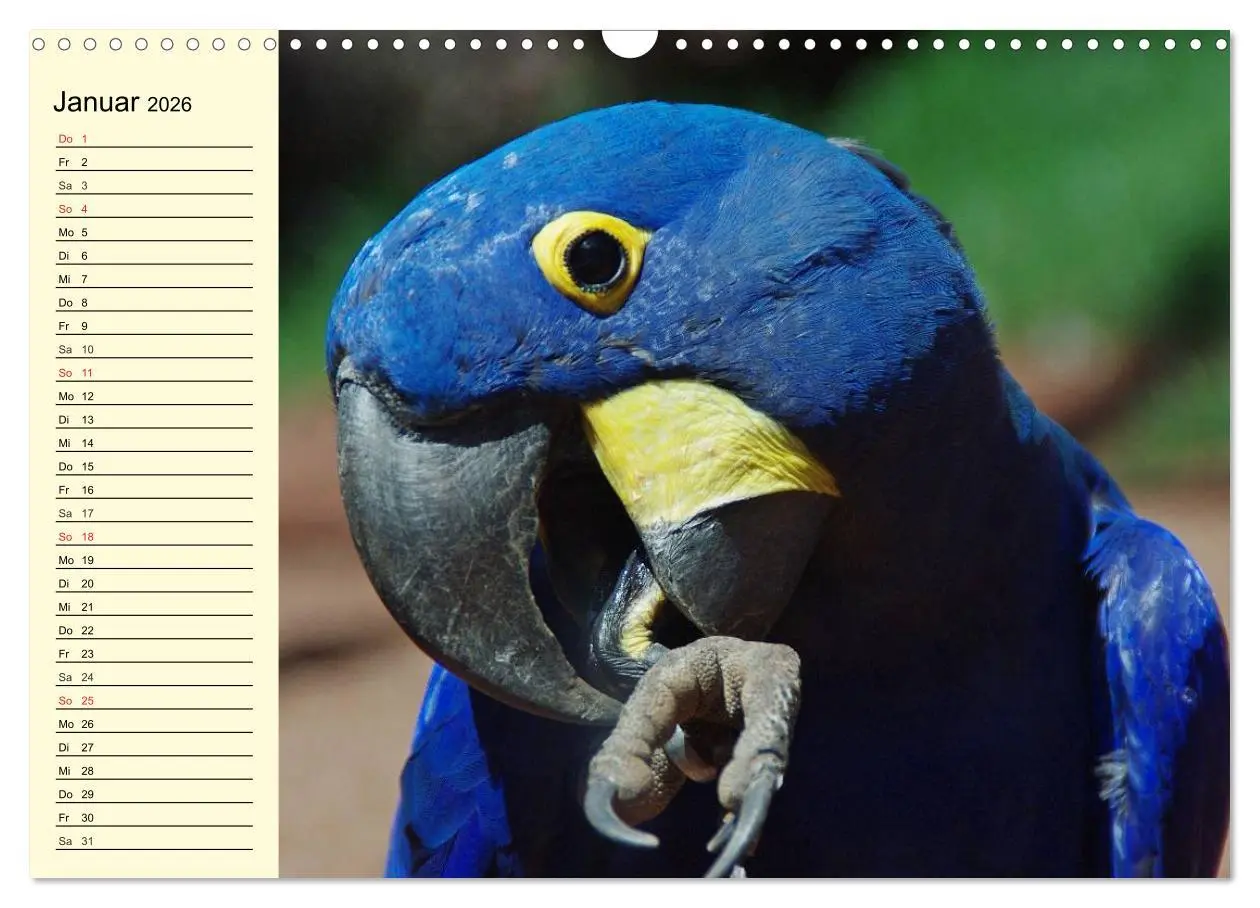 Bild: 9783457993972 | Brasilien. Faszinierend und groß wie ein Kontinent (Wandkalender...