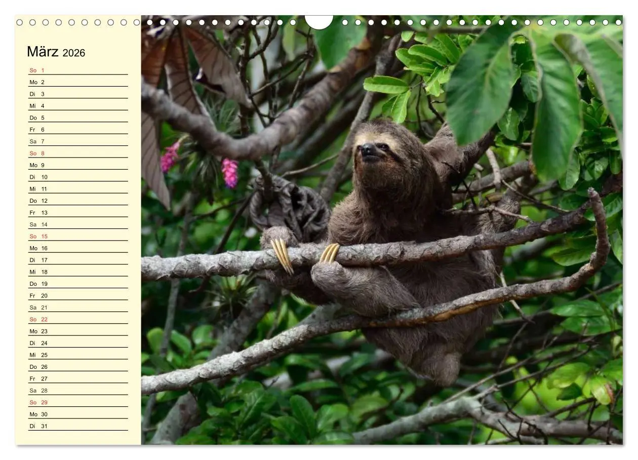 Bild: 9783457993972 | Brasilien. Faszinierend und groß wie ein Kontinent (Wandkalender...