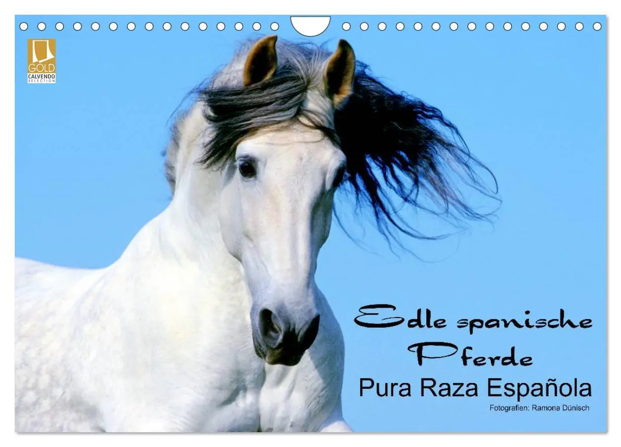 Cover: 9783516153972 | Edle spanische Pferde - Pura Raza Espanola (Wandkalender 2026 DIN...