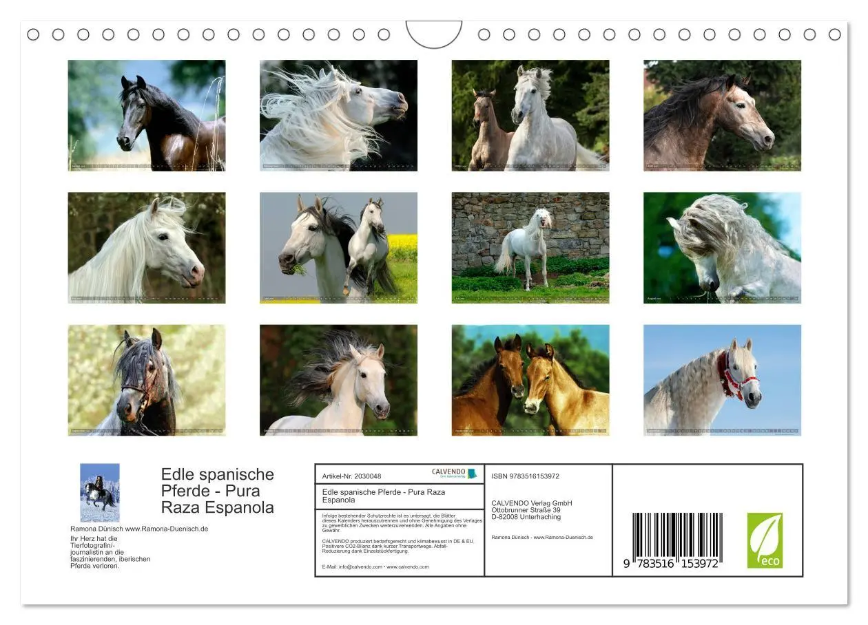 Bild: 9783516153972 | Edle spanische Pferde - Pura Raza Espanola (Wandkalender 2026 DIN...