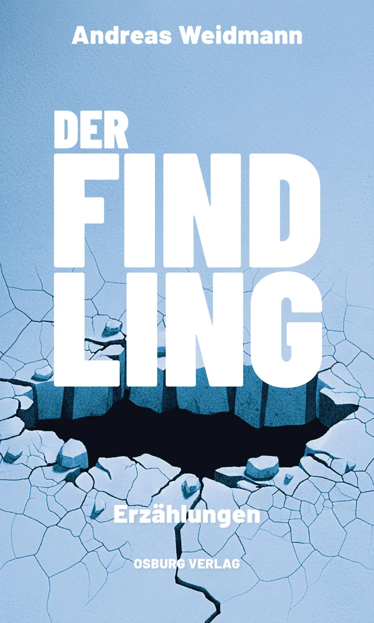 Cover: 9783955103972 | Der Findling | Erzählungen | Andreas Weidmann | Buch | 230 S. | 2026