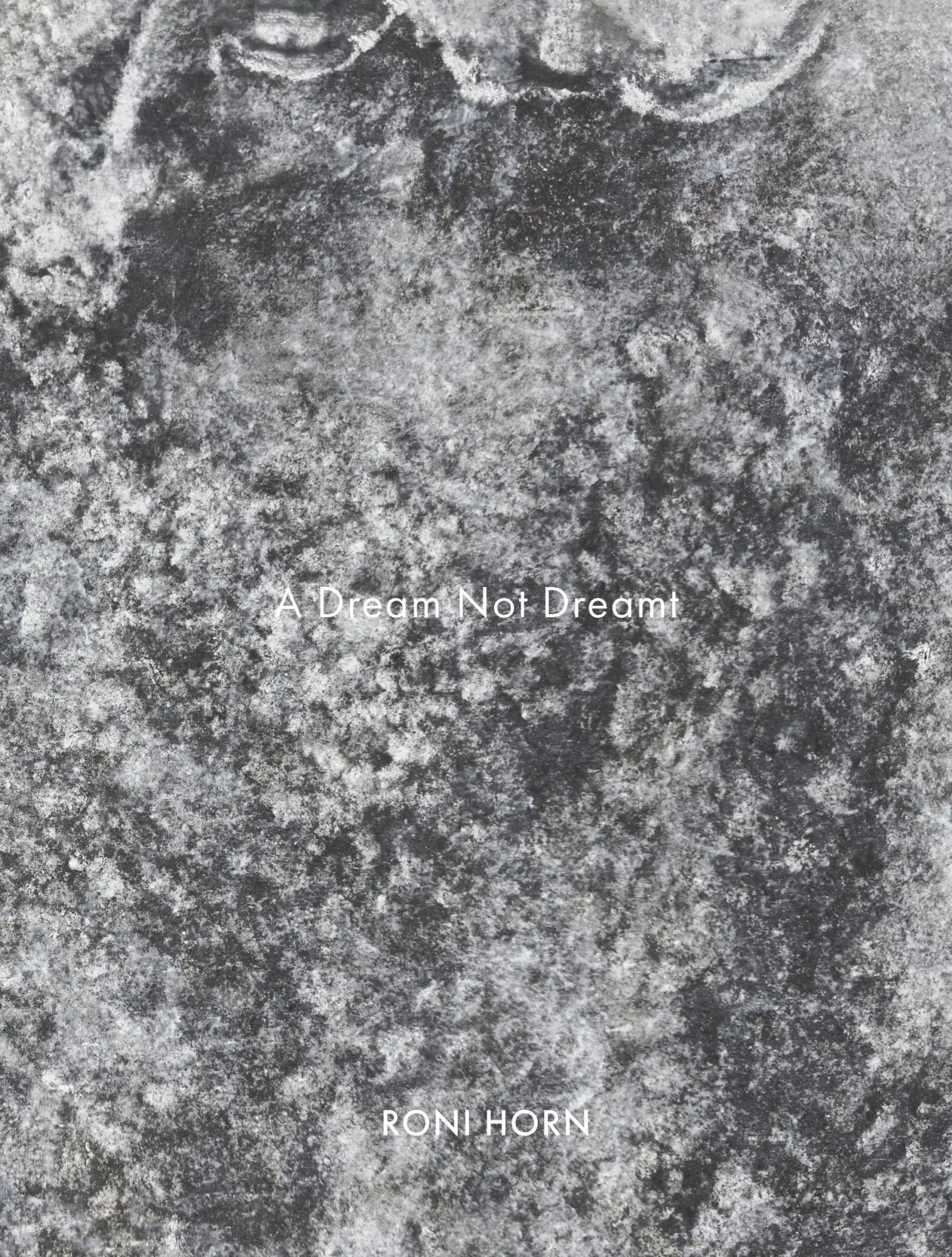 Cover: 9783969993972 | A Dream Not Dreamt | Roni Horn | Taschenbuch | 168 S. | Englisch
