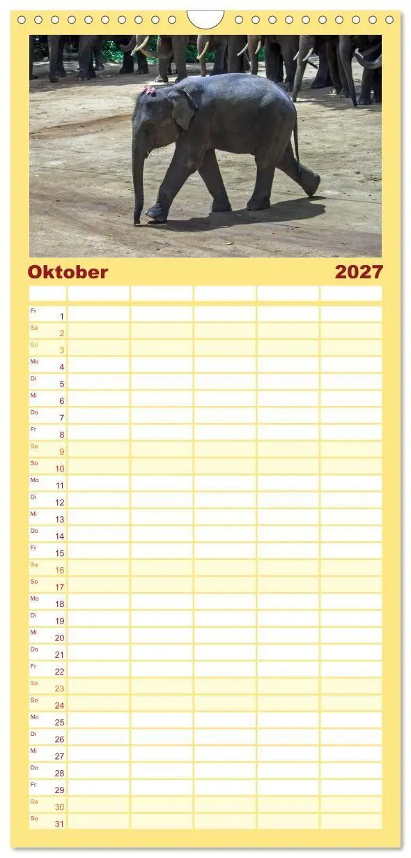 Bild: 9783594334072 | Familienplaner 2027 - Elefanten. Badespaß am Strand mit 5 Spalten...