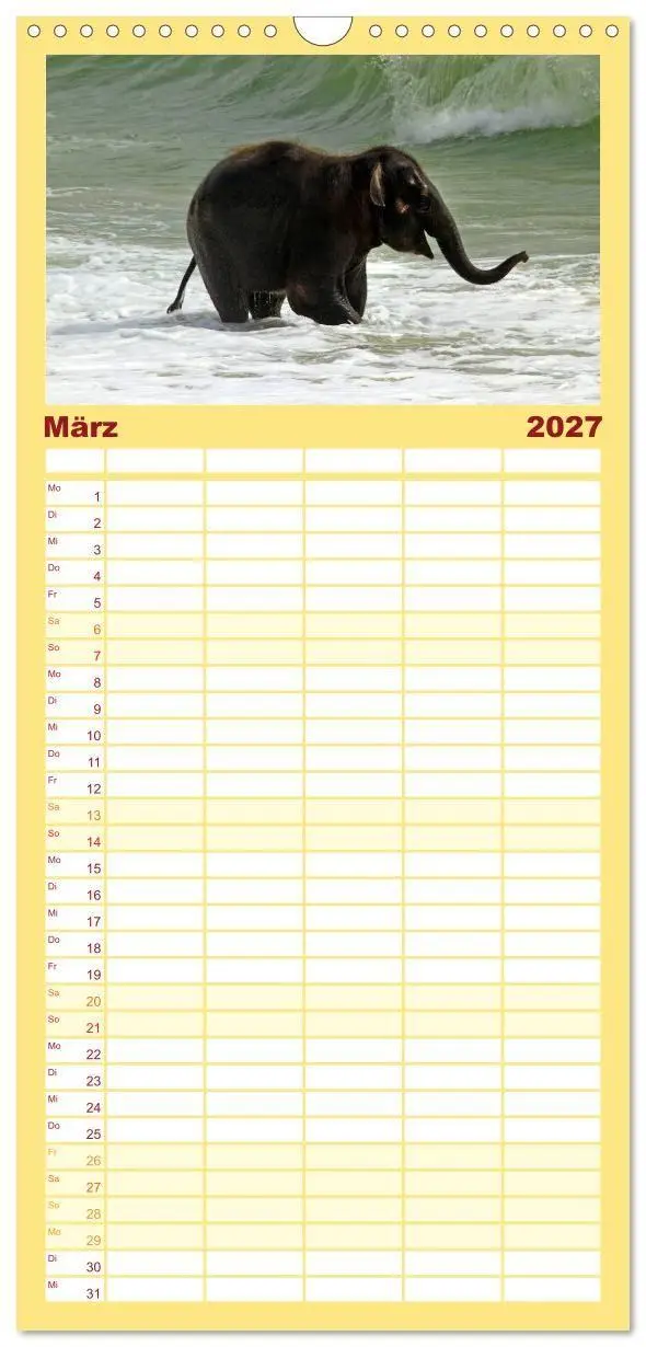 Bild: 9783594334072 | Familienplaner 2027 - Elefanten. Badespaß am Strand mit 5 Spalten...