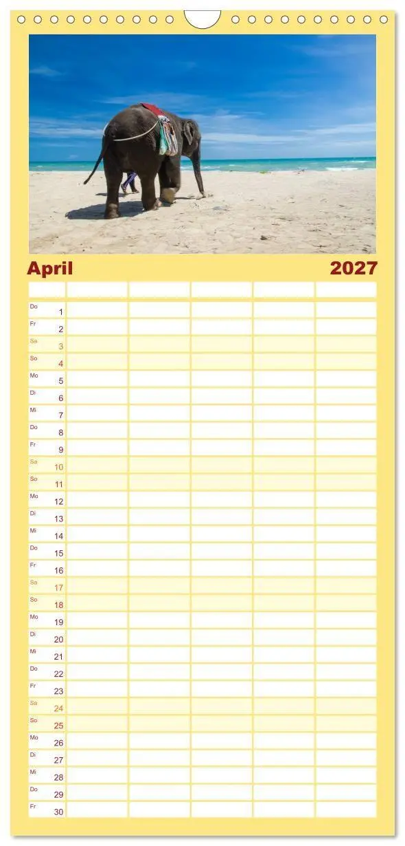 Bild: 9783594334072 | Familienplaner 2027 - Elefanten. Badespaß am Strand mit 5 Spalten...