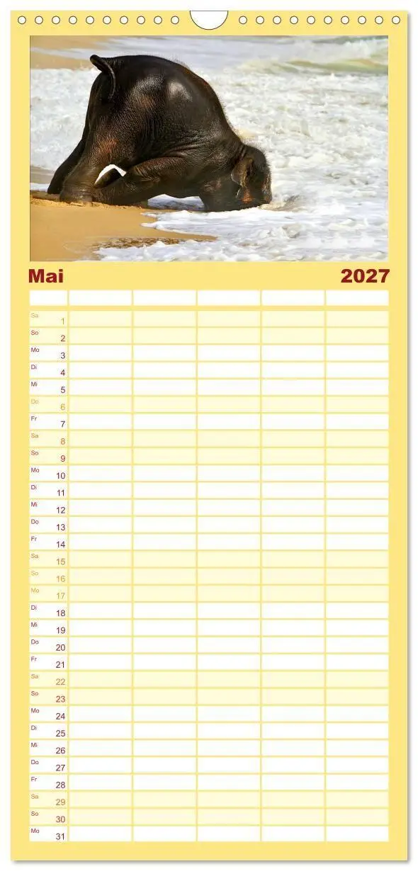 Bild: 9783594334072 | Familienplaner 2027 - Elefanten. Badespaß am Strand mit 5 Spalten...