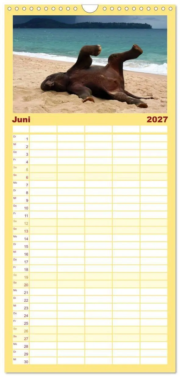Bild: 9783594334072 | Familienplaner 2027 - Elefanten. Badespaß am Strand mit 5 Spalten...