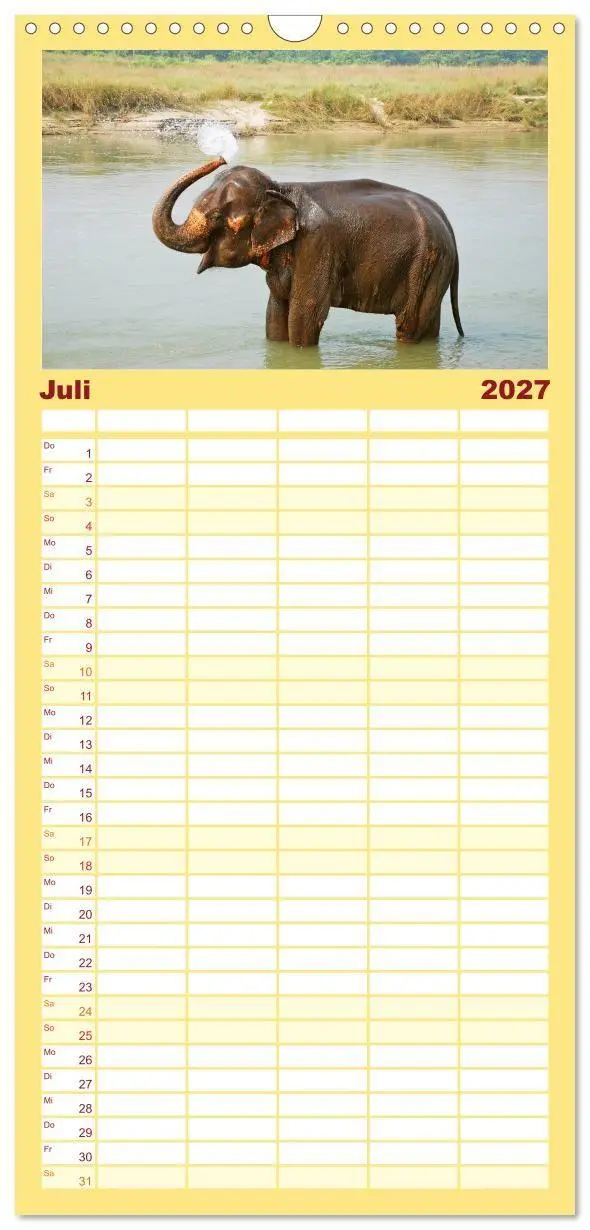 Bild: 9783594334072 | Familienplaner 2027 - Elefanten. Badespaß am Strand mit 5 Spalten...