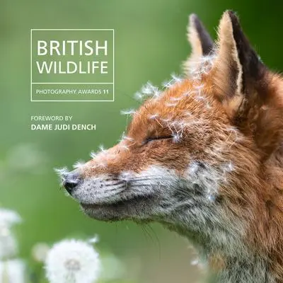 Cover: 9781802584172 | British Wildlife | Photography Awards 11 | Wil Nicholls | Buch | 2023