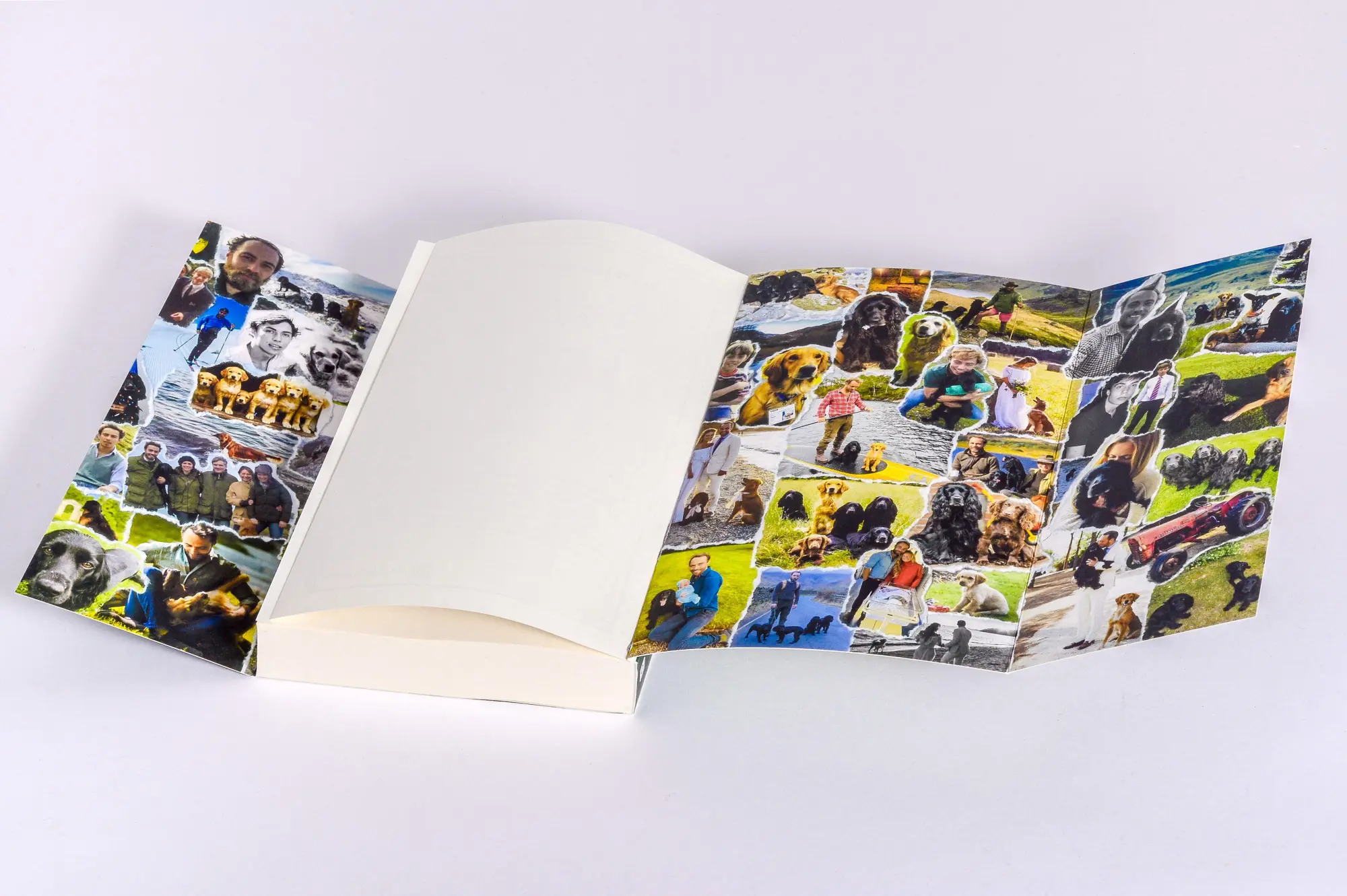 Bild: 9783442224272 | Ella und ich | James Middleton | Taschenbuch | 320 S. | Deutsch | 2025