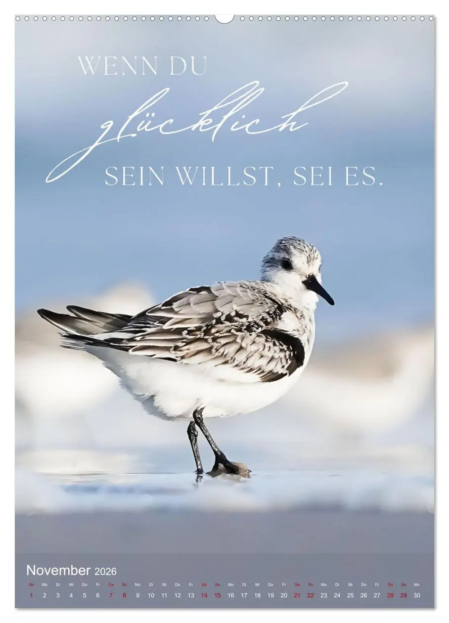Bild: 9783516264272 | ICH WÜNSCHE DIR GLÜCK - 12 Monate mit inspirierenden Glückszitaten...