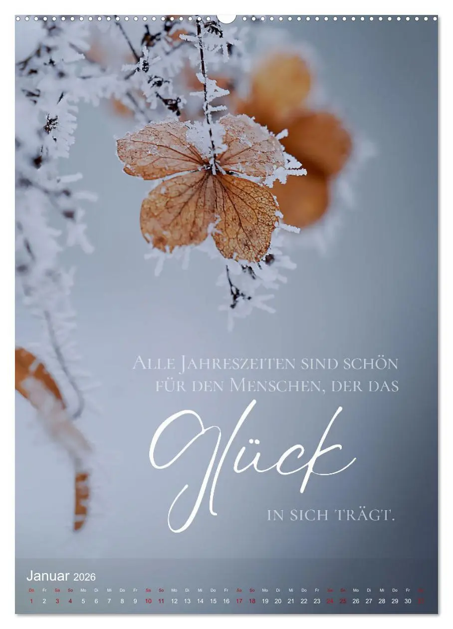 Bild: 9783516264272 | ICH WÜNSCHE DIR GLÜCK - 12 Monate mit inspirierenden Glückszitaten...