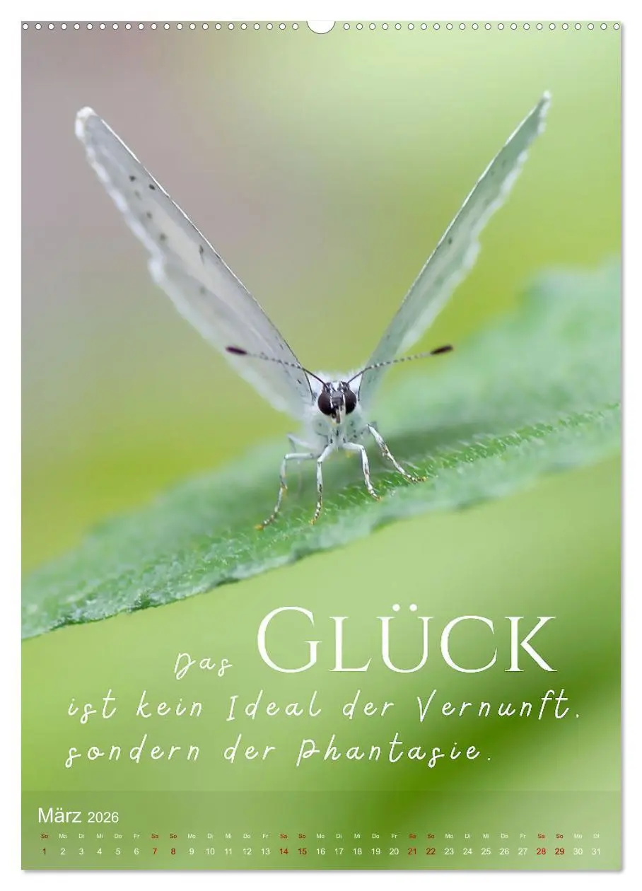 Bild: 9783516264272 | ICH WÜNSCHE DIR GLÜCK - 12 Monate mit inspirierenden Glückszitaten...