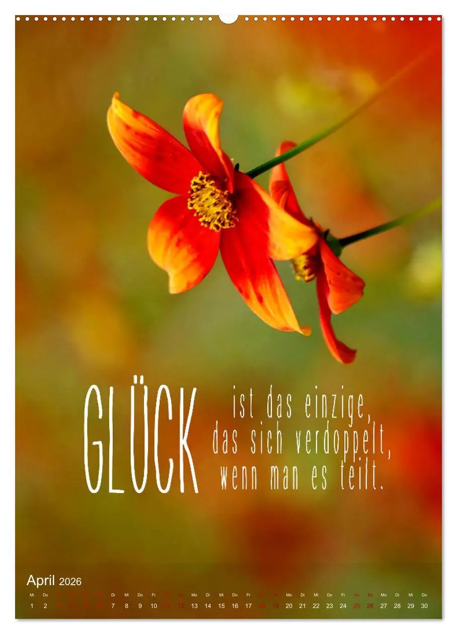 Bild: 9783516264272 | ICH WÜNSCHE DIR GLÜCK - 12 Monate mit inspirierenden Glückszitaten...