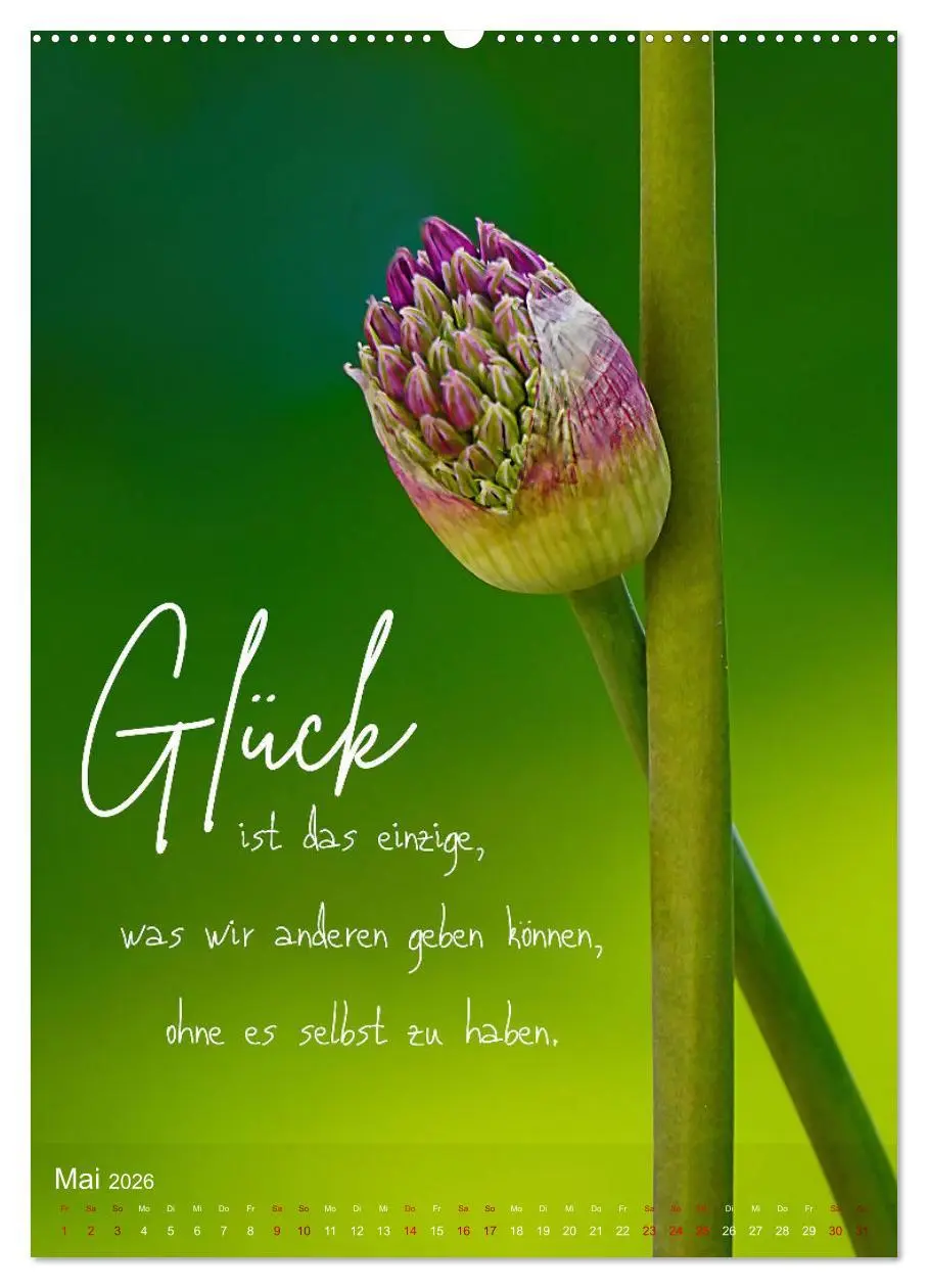 Bild: 9783516264272 | ICH WÜNSCHE DIR GLÜCK - 12 Monate mit inspirierenden Glückszitaten...