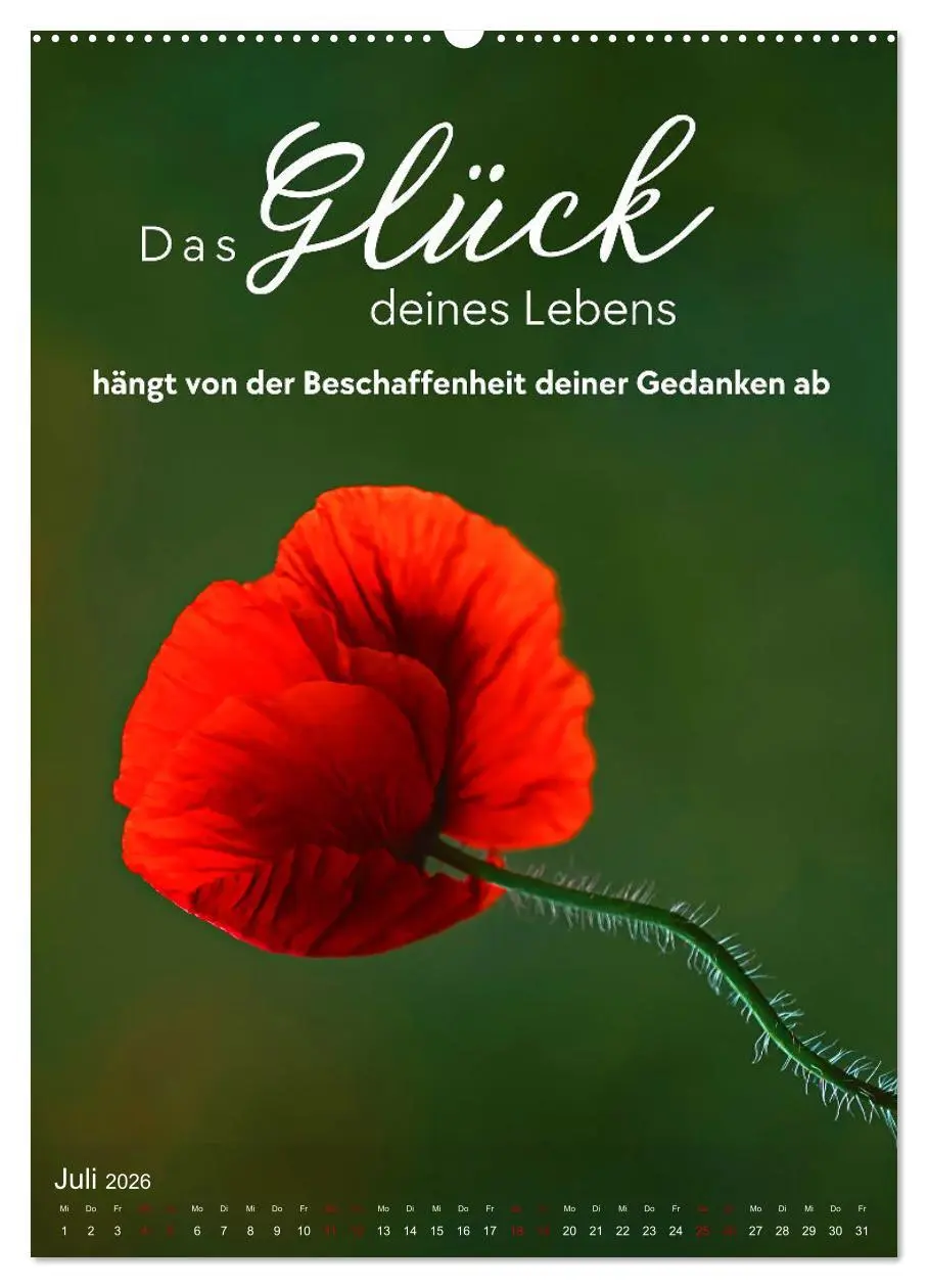 Bild: 9783516264272 | ICH WÜNSCHE DIR GLÜCK - 12 Monate mit inspirierenden Glückszitaten...