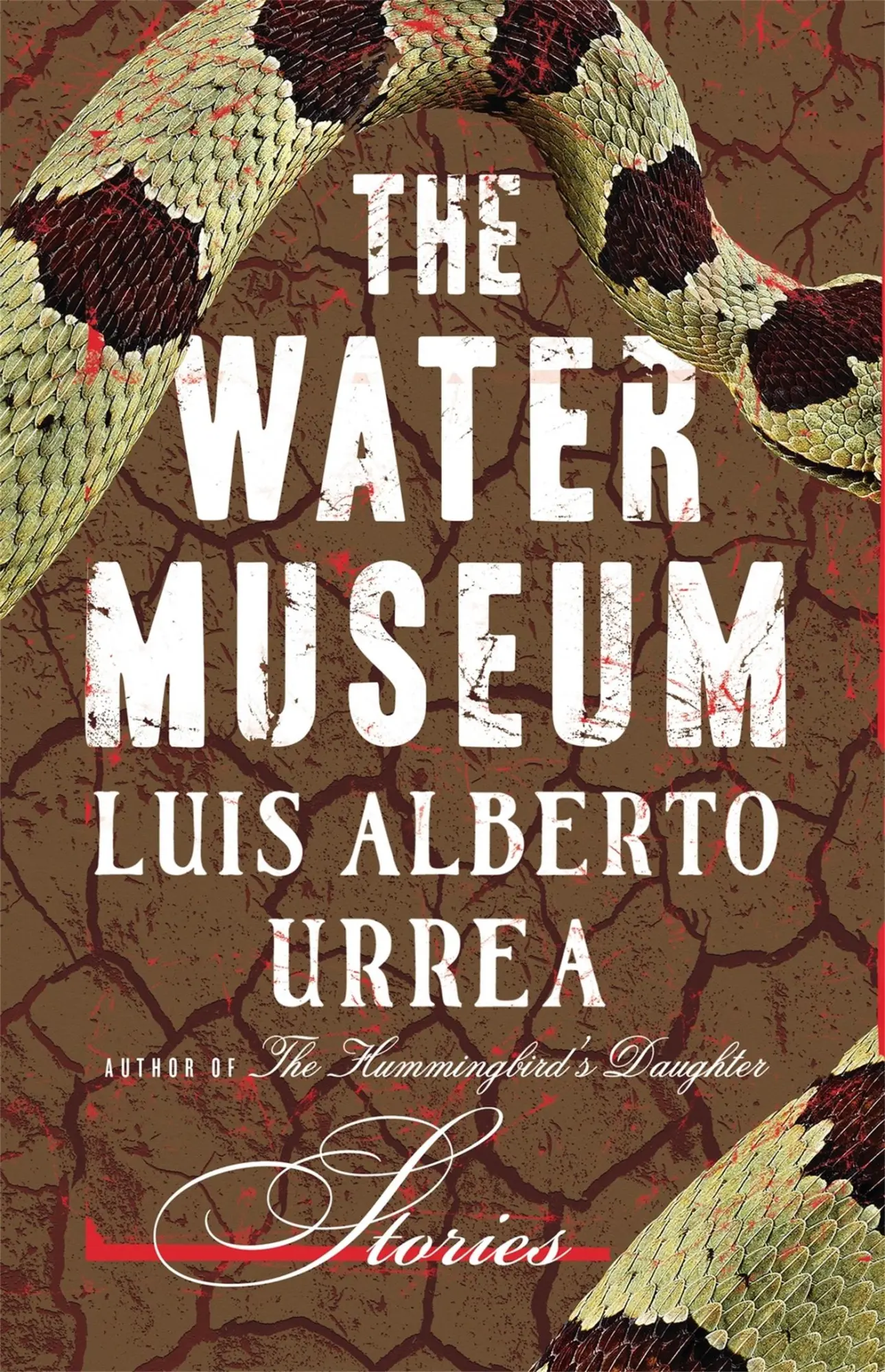 Cover: 9780316334372 | The Water Museum | Stories | Luis Alberto Urrea | Buch | Gebunden