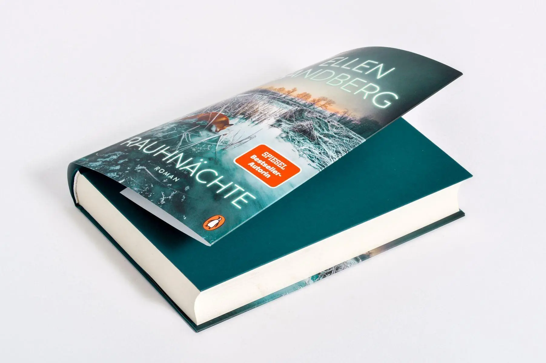 Bild: 9783328604372 | Rauhnächte | Ellen Sandberg | Buch | 352 S. | Deutsch | 2025