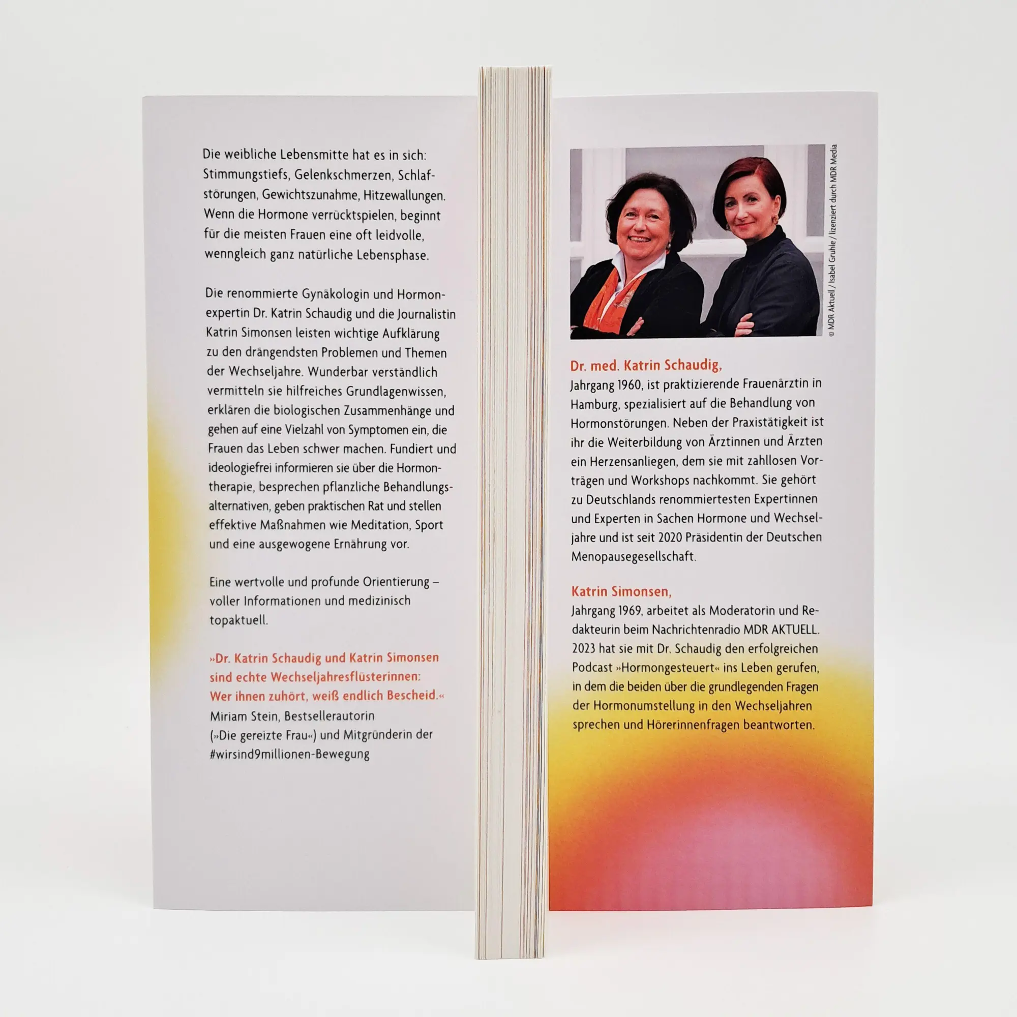 Bild: 9783423264372 | Hot Stuff - Wechseljahre-Wissen to go | Katrin Schaudig (u. a.) | Buch