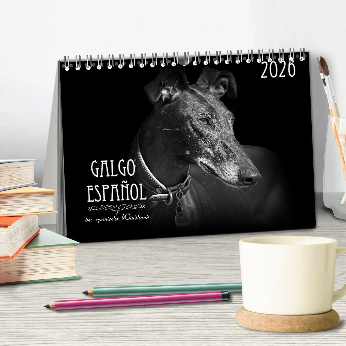 Bild: 9783457544372 | Galgo Español - der spanische Windhund 2026 (Tischkalender 2026 DIN...